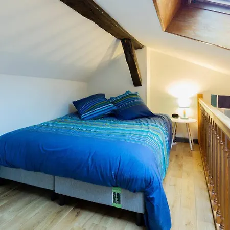 Le Nid De La Carterelle - *