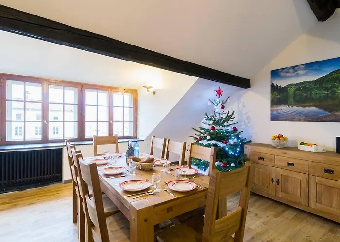 Le Nid De La Carterelle - Apartment Remiremont