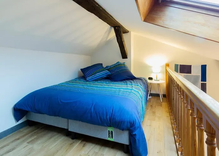 Le Nid De La Carterelle - *