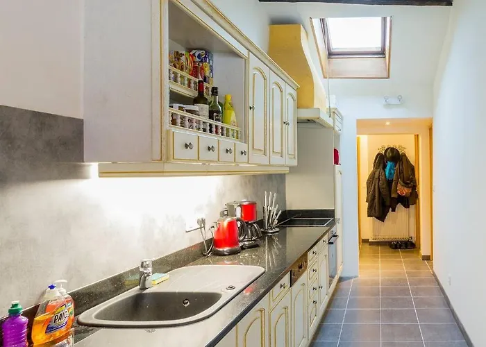 Apartment Le Nid De La Carterelle - Remiremont